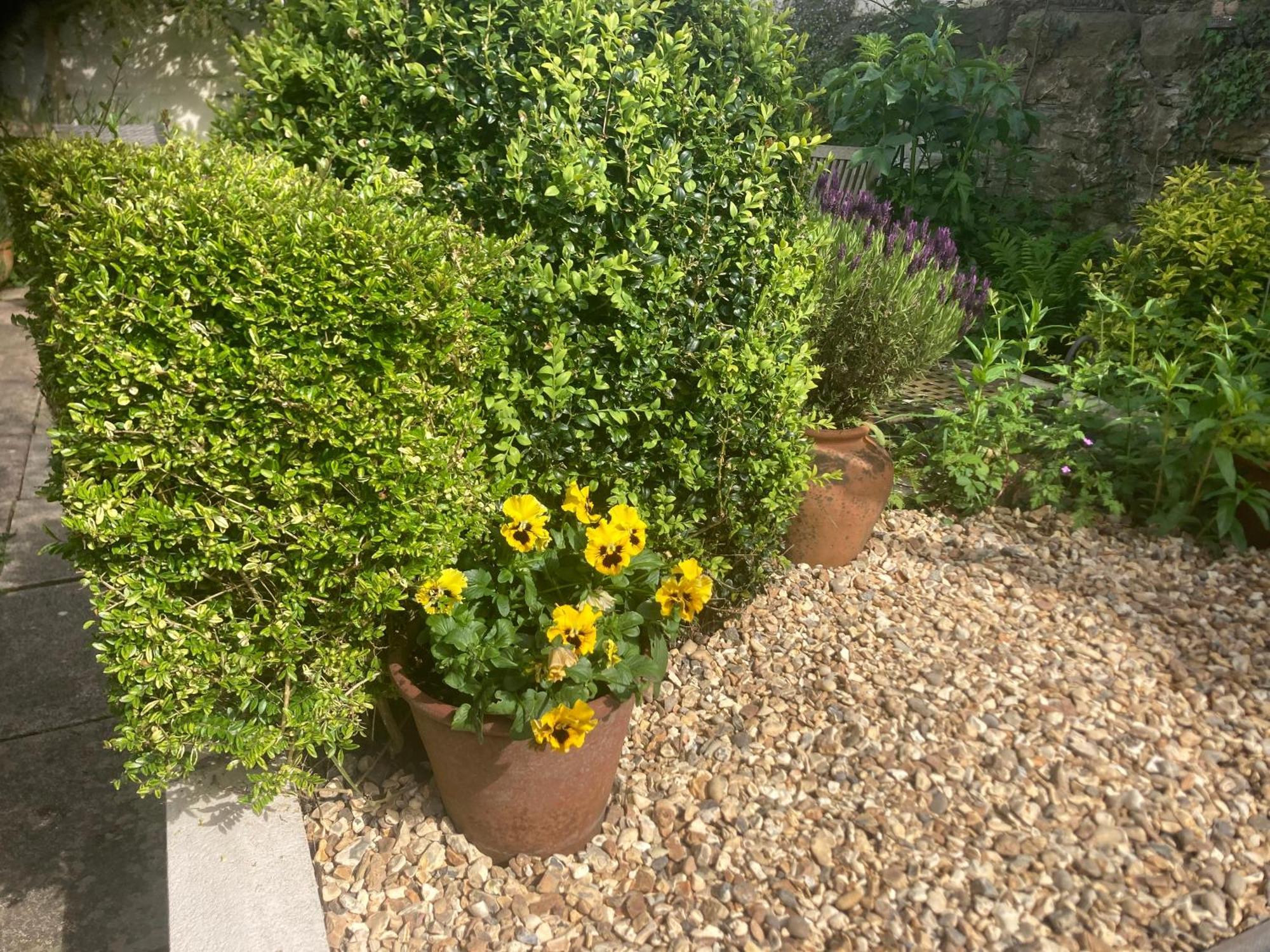 Bryntirion Farmhouse Apartment With Hot Tub Llanfair Caereinion Εξωτερικό φωτογραφία